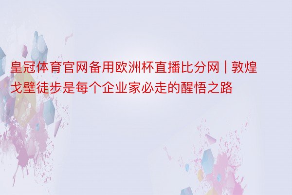 皇冠体育官网备用欧洲杯直播比分网 | 敦煌戈壁徒步是每个企业家必走的醒悟之路